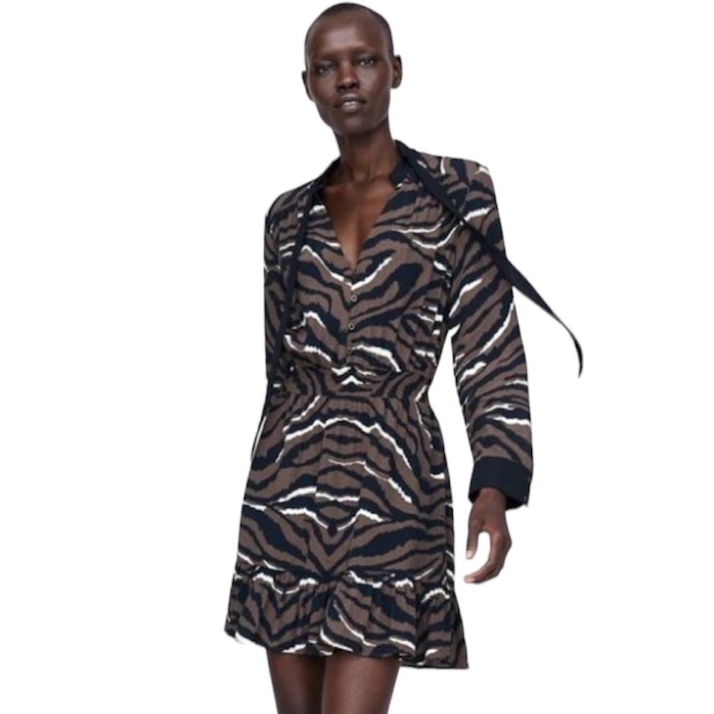 Zara Animal Print Dress
